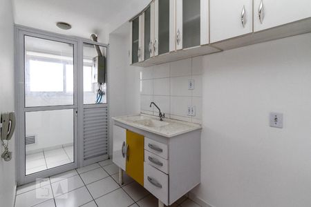 Cozinha de apartamento para alugar com 2 quartos, 45m² em Quinta da Paineira, São Paulo