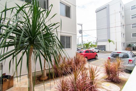 Sala de apartamento para alugar com 2 quartos, 44m² em Bandeirantes (pampulha), Belo Horizonte