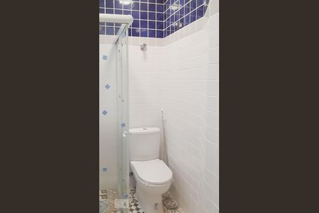 Banheiro 1 de apartamento para alugar com 2 quartos, 85m² em Laranjeiras, Rio de Janeiro