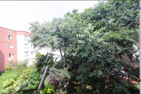 Vista da janela de apartamento à venda com 3 quartos, 77m² em Vila Mimosa, Campinas