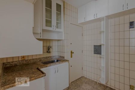 Cozinha de apartamento para alugar com 3 quartos, 95m² em Santo Antônio, Belo Horizonte