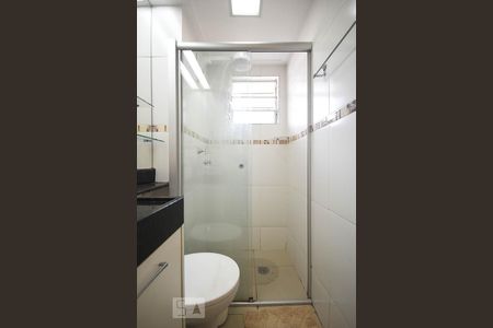 Detalhe do banheiro de apartamento para alugar com 2 quartos, 49m² em Jardim Ampliação, São Paulo