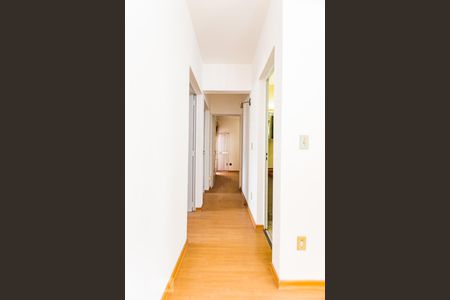 Corredor de apartamento à venda com 4 quartos, 96m² em Vila Itapura, Campinas