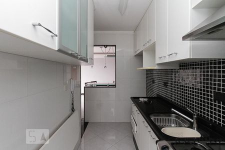 cozinha de apartamento para alugar com 2 quartos, 64m² em Vila Mafra, São Paulo