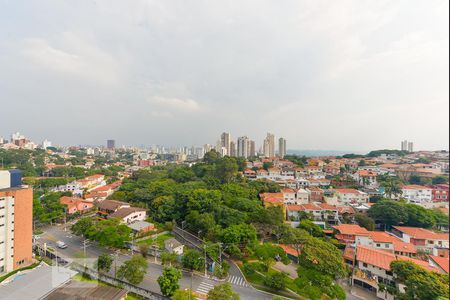 Vista de kitnet/studio para alugar com 1 quarto, 30m² em Sumarezinho, São Paulo