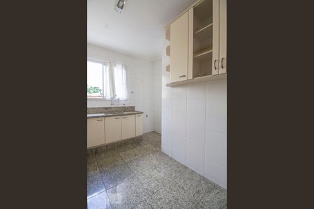 Cozinha de apartamento para alugar com 4 quartos, 140m² em Santo Antonio, Belo Horizonte