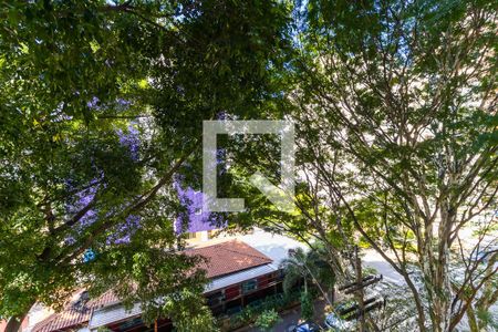 Vista da sacada de apartamento para alugar com 3 quartos, 210m² em Vila Itapura, Campinas