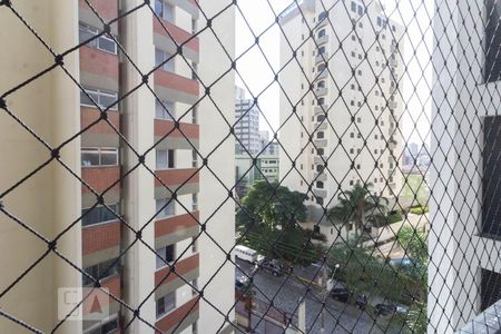 Vista Varanda de apartamento para alugar com 4 quartos, 153m² em Jardim São Paulo, São Paulo
