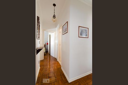 Corredor de apartamento para alugar com 2 quartos, 80m² em Centro, Campinas