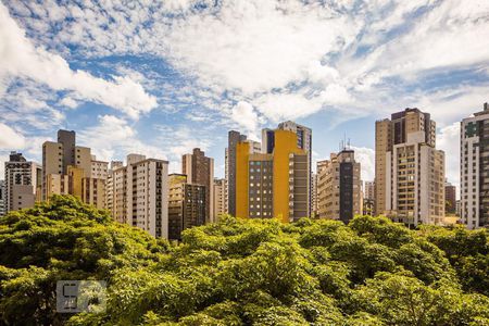 Vista Varanda de apartamento à venda com 1 quarto, 50m² em Lourdes, Belo Horizonte