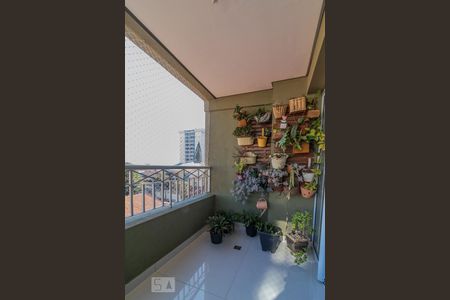 Varanda de apartamento à venda com 3 quartos, 105m² em Campestre, Santo André