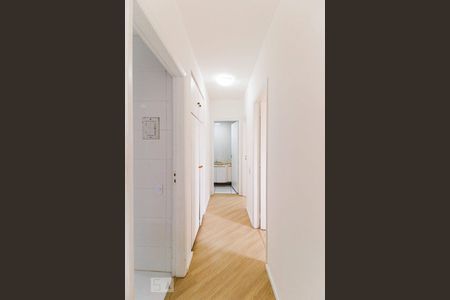Corredor de apartamento para alugar com 2 quartos, 67m² em Vila Constança, São Paulo