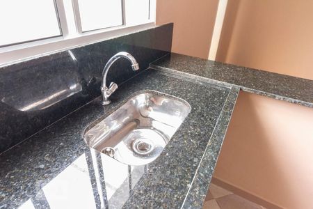 Detalhe cozinha  de apartamento para alugar com 1 quarto, 38m² em Vila Carrao, São Paulo