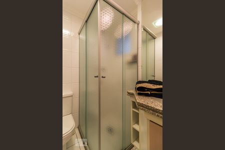 Banheiro de apartamento para alugar com 2 quartos, 68m² em Vila Ipojuca , São Paulo
