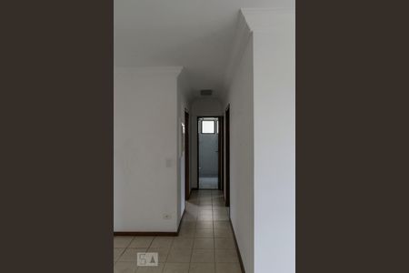 Sala (Corredor) de apartamento para alugar com 3 quartos, 80m² em Vila Firmiano Pinto, São Paulo