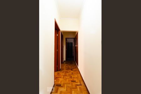 Corredor de apartamento para alugar com 2 quartos, 100m² em Centro, Campinas