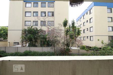 Vista da varanda de apartamento para alugar com 3 quartos, 299m² em Paraisópolis, São Paulo
