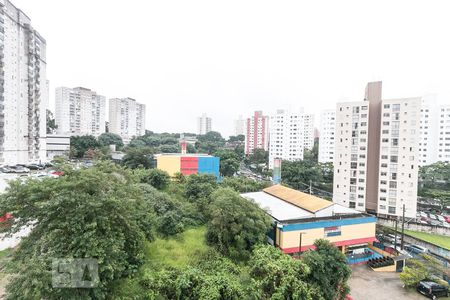 Vista da suíte  de apartamento para alugar com 3 quartos, 62m² em Jardim Celeste, São Paulo