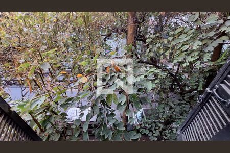 Vista de kitnet/studio para alugar com 1 quarto, 13m² em Perdizes, São Paulo