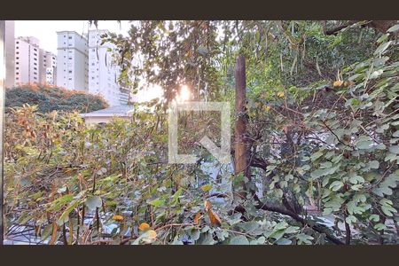 Vista de kitnet/studio para alugar com 1 quarto, 13m² em Perdizes, São Paulo