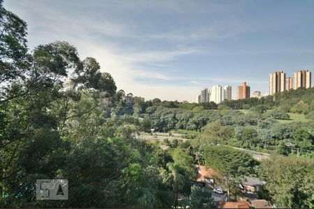 Vista da sala de apartamento para alugar com 3 quartos, 83m² em Jardim Ampliação, São Paulo