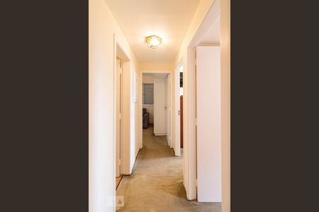 Corredor de apartamento para alugar com 2 quartos, 80m² em Vila Gertrudes, São Paulo