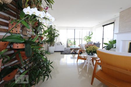 sala de apartamento para alugar com 3 quartos, 185m² em Vila Suzana, São Paulo