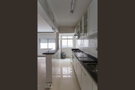 Cozinha de apartamento à venda com 2 quartos, 54m² em Tristeza, Porto Alegre
