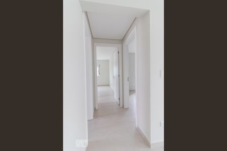 Corredor de apartamento para alugar com 2 quartos, 70m² em Água Verde, Curitiba