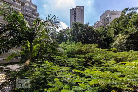 Vista de apartamento à venda com 4 quartos, 350m² em Jardim Ampliação, São Paulo