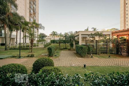 Vista varanda de apartamento à venda com 3 quartos, 63m² em Vila Antonieta, São Paulo