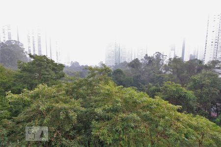 Vista da varanda de apartamento para alugar com 2 quartos, 56m² em Vila Andrade, São Paulo