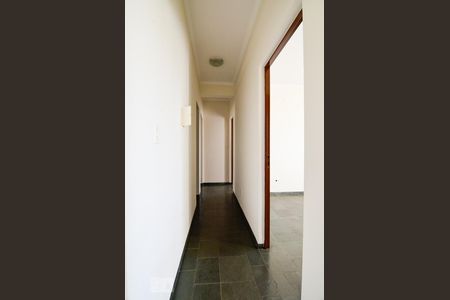 Corredor de apartamento para alugar com 3 quartos, 69m² em Jardim Quarto Centenário, Campinas