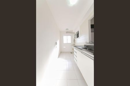 Cozinha de apartamento para alugar com 2 quartos, 50m² em Loteamento Parque São Martinho, Campinas
