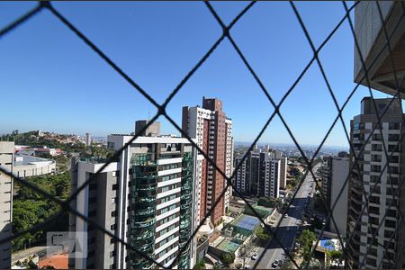 Vista de apartamento para alugar com 3 quartos, 344m² em Belvedere, Belo Horizonte