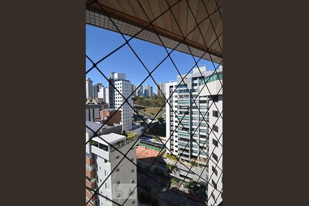 Vista de apartamento para alugar com 3 quartos, 344m² em Belvedere, Belo Horizonte