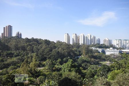 Vista de kitnet/studio para alugar com 1 quarto, 38m² em Jardim Ampliação, São Paulo