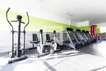 Apartamento à venda com 67m², 3 quartos e 1 vaga Apartamento à venda com 67m², 3 quartos e 1 vagaÁrea comum - Academia