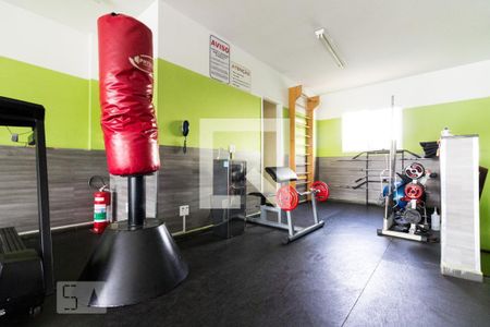 Apartamento à venda com 67m², 3 quartos e 1 vaga Apartamento à venda com 67m², 3 quartos e 1 vagaÁrea comum - Academia