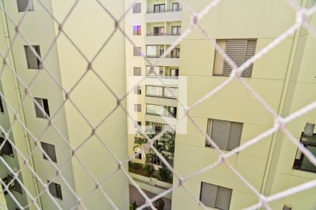 Suíte de apartamento à venda com 3 quartos, 67m² em Vila Palmeiras, São Paulo