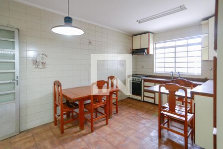 cozinha de casa para alugar com 3 quartos, 150m² em Jardim Maria Luiza, São Paulo