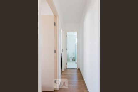 Corredor de apartamento para alugar com 2 quartos, 50m² em Jardim Myrian Moreira da Costa, Campinas