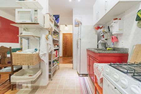 Cozinha de apartamento à venda com 1 quarto, 48m² em Laranjeiras, Rio de Janeiro