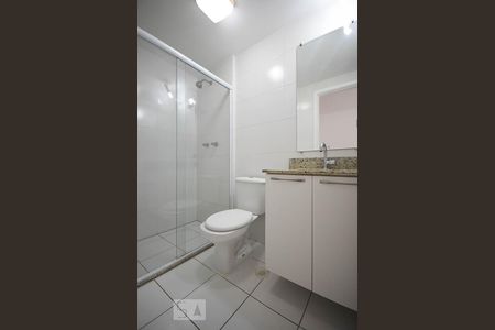 Banheiro de apartamento para alugar com 2 quartos, 62m² em Jardim das Vertentes, São Paulo