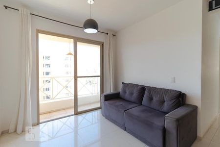 Salas de apartamento para alugar com 3 quartos, 70m² em Mansões Santo Antônio, Campinas