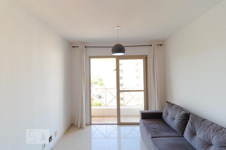 Salas de apartamento para alugar com 3 quartos, 70m² em Mansões Santo Antônio, Campinas