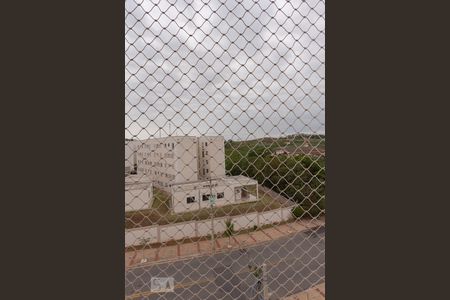 Vista do Quarto 1 de apartamento para alugar com 2 quartos, 45m² em Jardim Antonio Von Zuben, Campinas