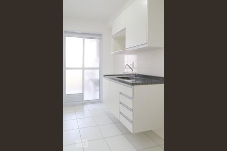 Cozinha de apartamento para alugar com 2 quartos, 53m² em Parque Vitória, São Paulo