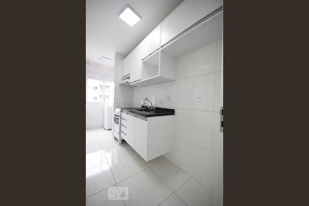 Cozinha de apartamento para alugar com 1 quarto, 40m² em Jardim Ampliação, São Paulo