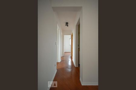 Corredor de apartamento para alugar com 3 quartos, 78m² em Vila Progredior, São Paulo